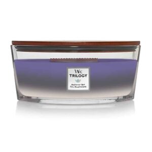 WoodWick Trilogy Amethyst Sky Ellipse Candle