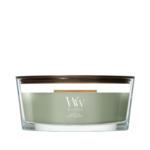 WoodWick Verdant Fig Ellipse